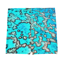 Load image into Gallery viewer, Barrier Reef Shorties