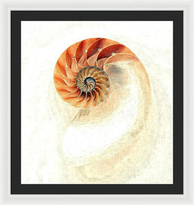 Nautilus - Framed Print