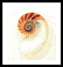 Load image into Gallery viewer, Nautilus - Framed Print